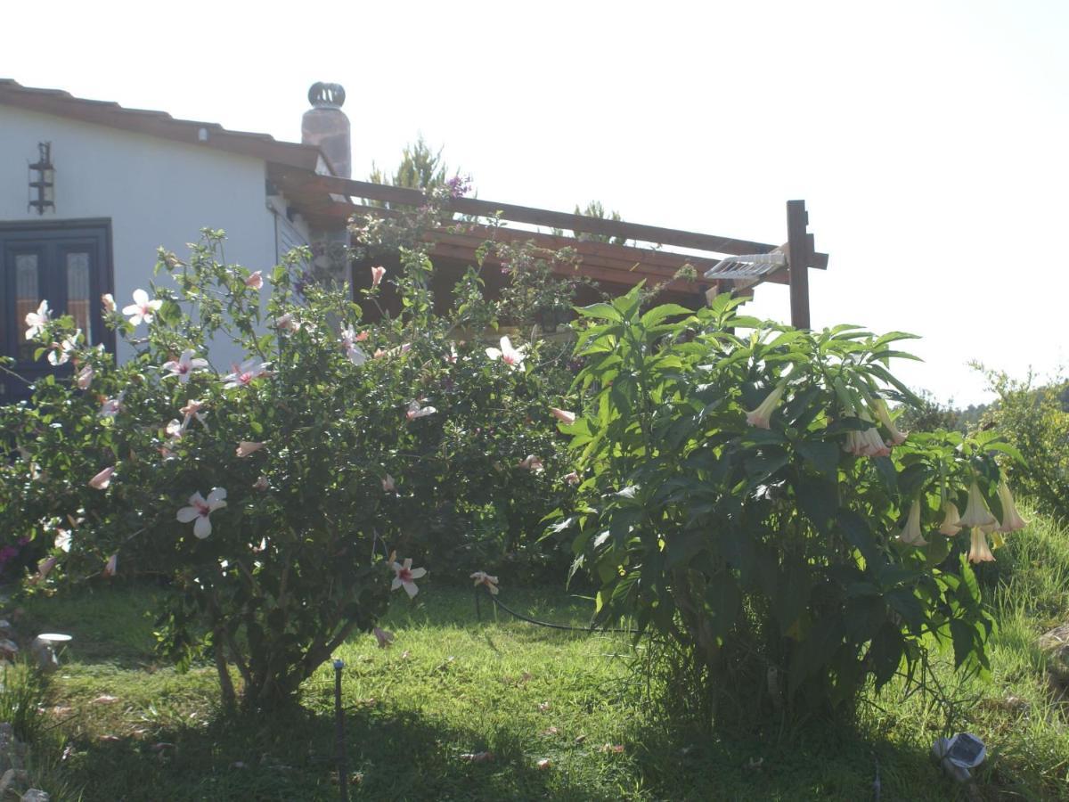 Feriehus Charming In With Garden *